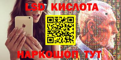 гашик Будённовск