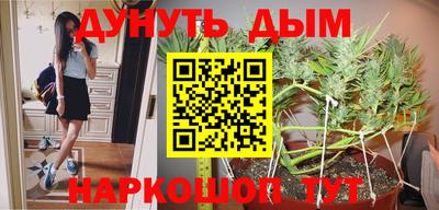 гашик Будённовск