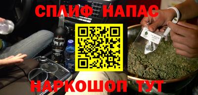 гашик Будённовск